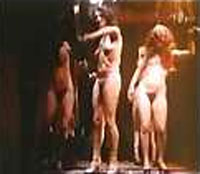 Heisser Porno Circus von 1971