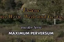 Maxium perversum – ein geiler Retroporno